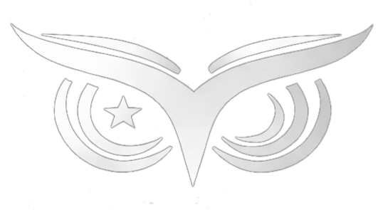 Metis owl logo